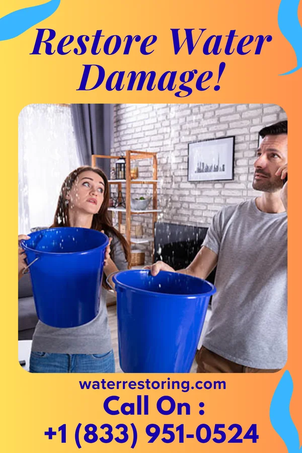 water restoration Ace Damage Recovery Professionals Elida