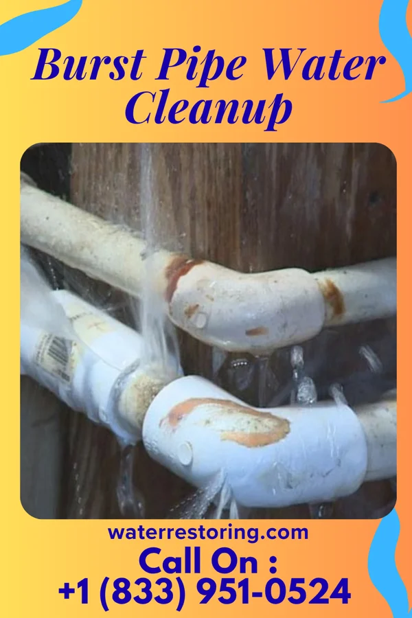 Burst Pipe Water Cleanup in Elida, OH