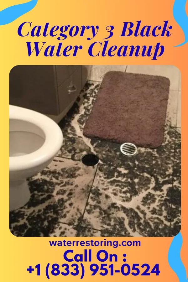Category 3 Black Water Cleanup in Elida, OH